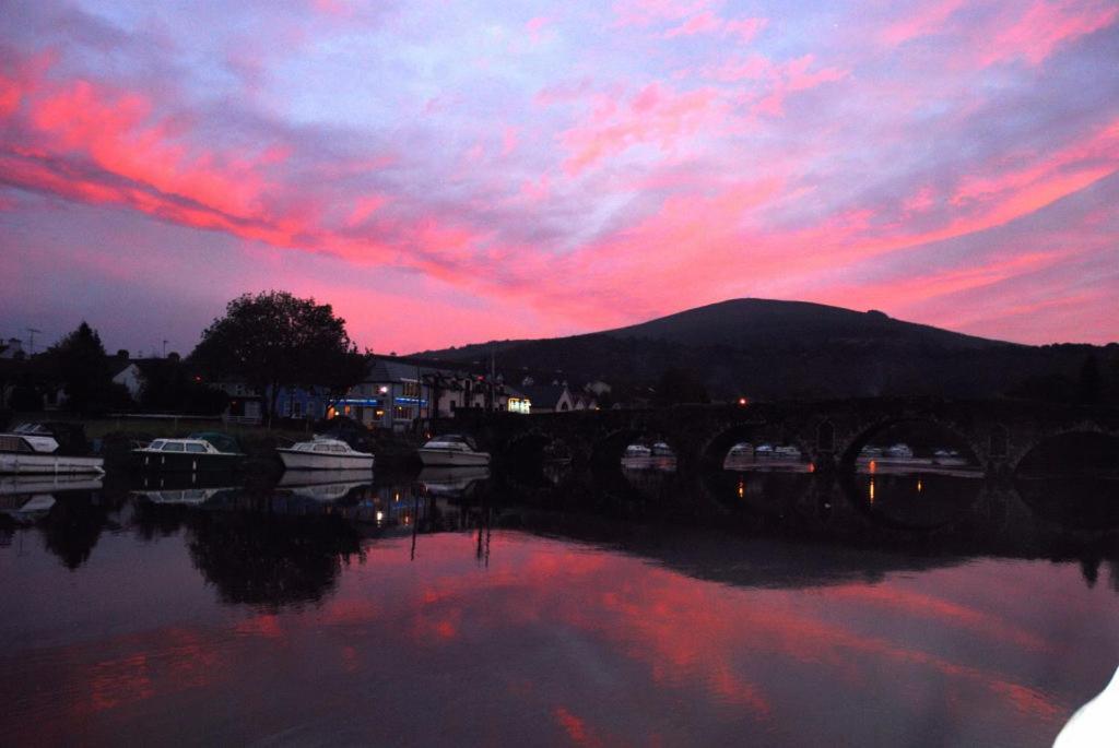 Waterside Guesthouse Graiguenamanagh Zewnętrze zdjęcie